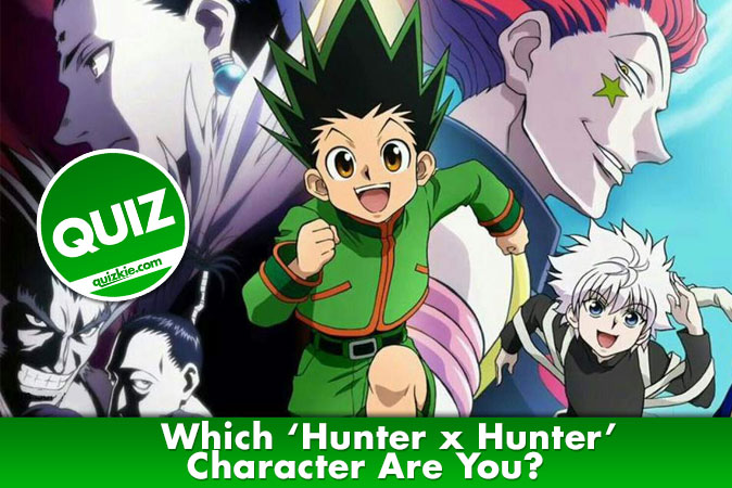 Qual personagem de hunter x hunter você seria?