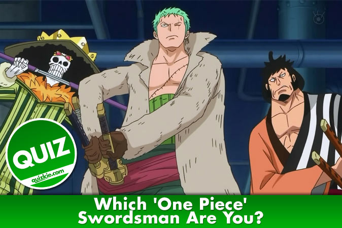 Como você seria em One Piece
