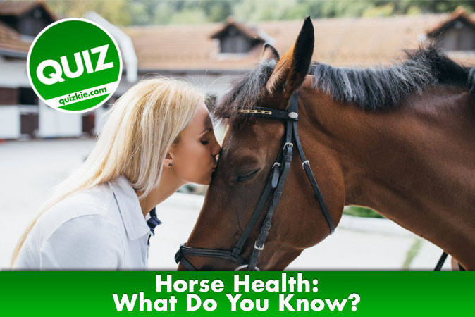Welcome to quiz: Horse Health: What Do You Know?