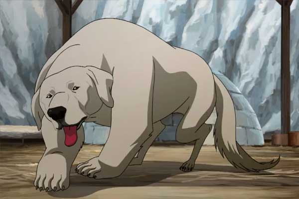Naga in The Legend of Korra