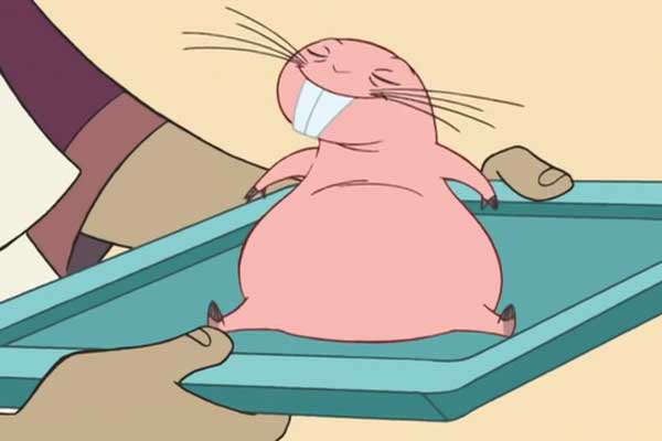 Rufus em Kim Possible