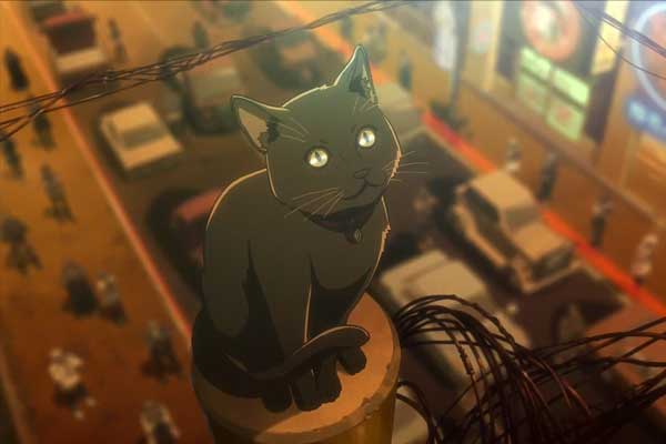 Black Cat em Akudama Drive