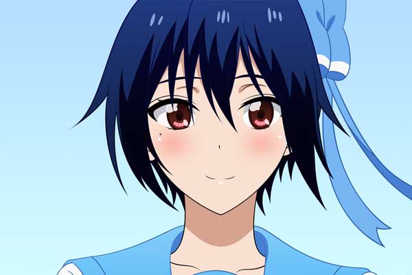 Seishiro Tsugumi aus Nisekoi