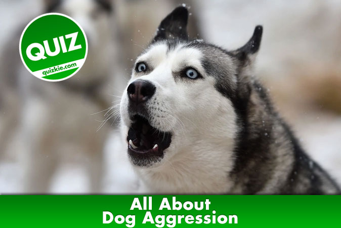 Welcome to quiz: All About Dog Aggression