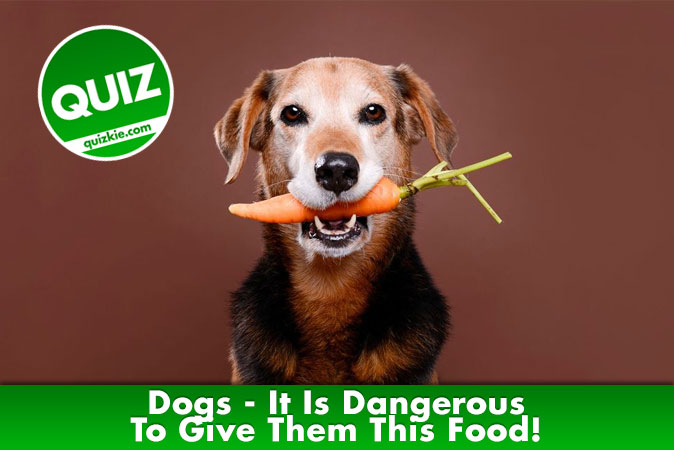 Welcome to quiz: Dogs - It Is Dangerous To Give Them This Food!