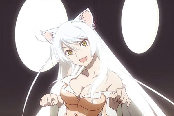Tsubasa Hanekawa aus Bakemonogatari