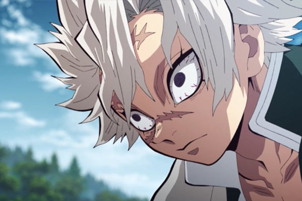 Sanemi Shinazugawa aus Kimetsu No Yaiba