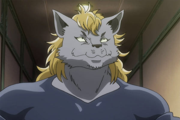 Welfin aus Hunter x Hunter
