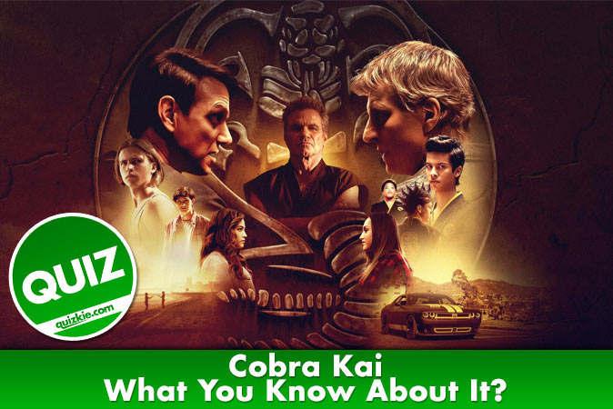 Welcome to Cobra Kai - What You Know About It?