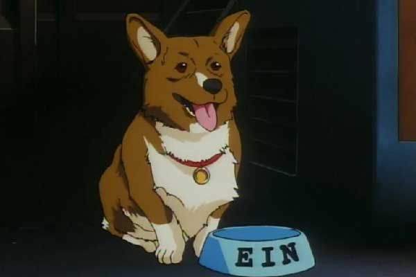 Ein en Cowboy Bebop
