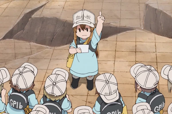 Platelet em Cells At Work!
