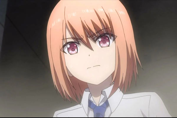 Medoki aus Charlotte