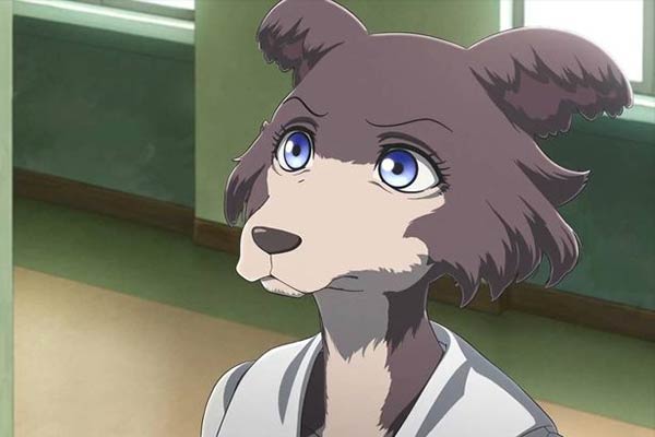 Conflicted Predator in Beastars