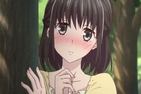 The Pig/Boar in Fruits Basket