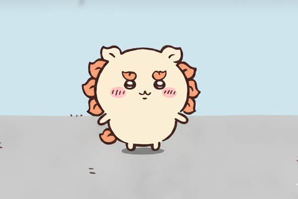 Shiisaa in Chiikawa