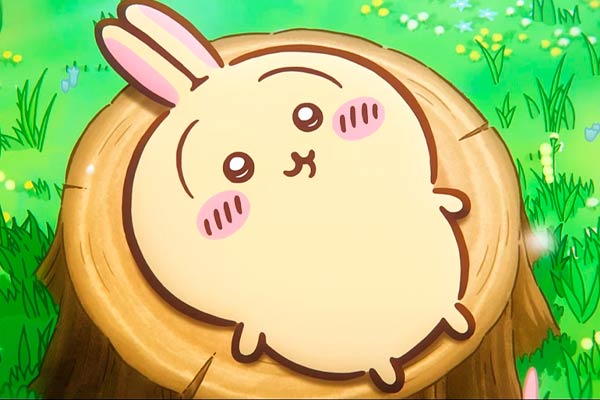Usagi in Chiikawa