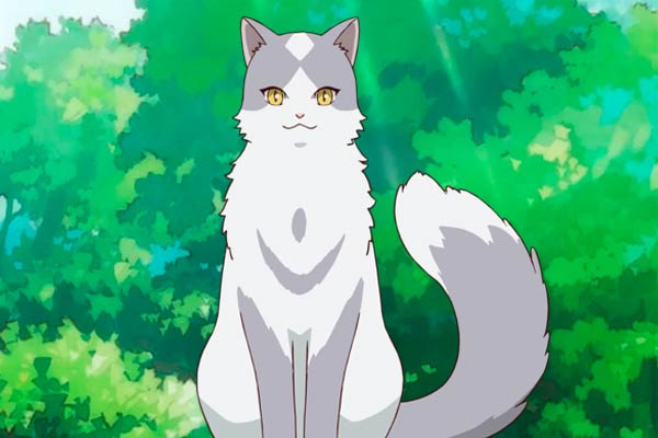 Haibuchi in The Cat and the Dragon