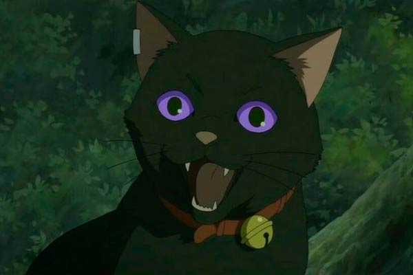 Mao in Darker than Black